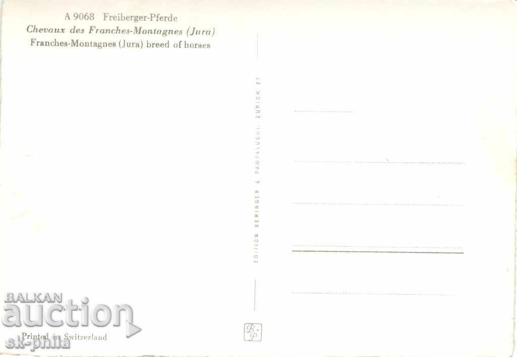 Old card - Mare with a horse with price 1.60 BGN | € 0.82 Old card - Mare with a horse with price 1.60 BGN | € 0.82