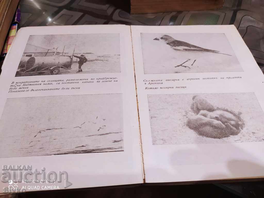 Homeland of polar bears Sava Uspensky many photos with price 1.99 BGN | € 1.02 Homeland of polar bears Sava Uspensky many photos with price 1.99 BGN | € 1.02