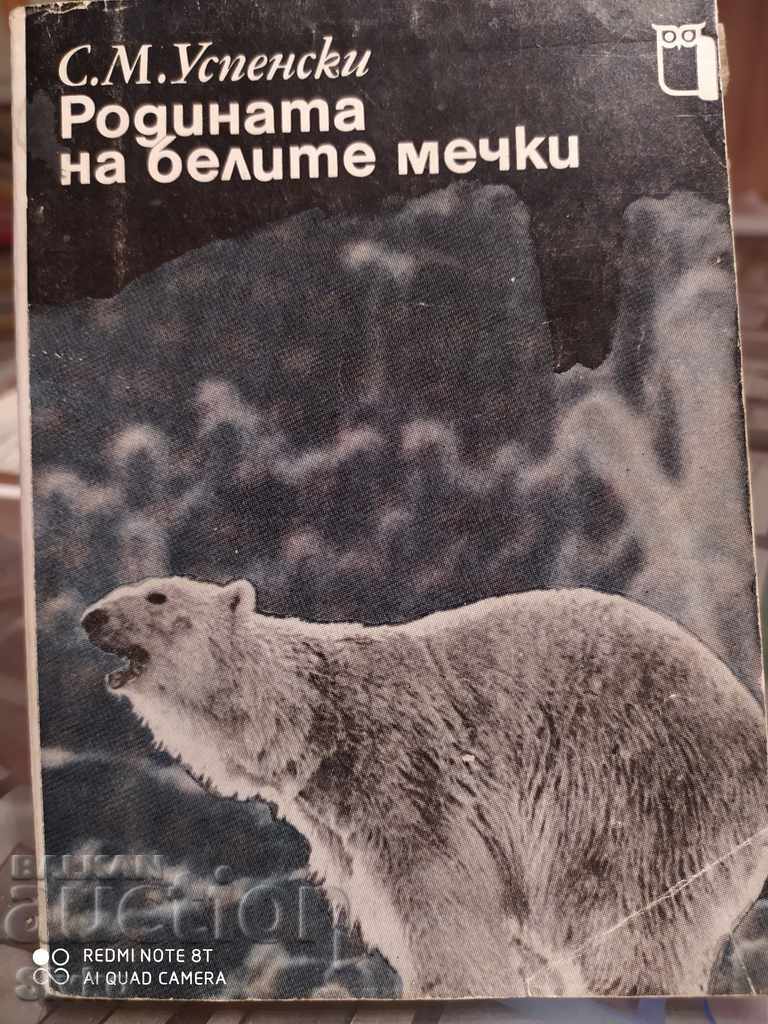 Homeland of polar bears Sava Uspensky many photos