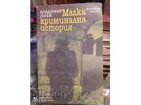 A Little Criminal History Vladimir Golev first edition