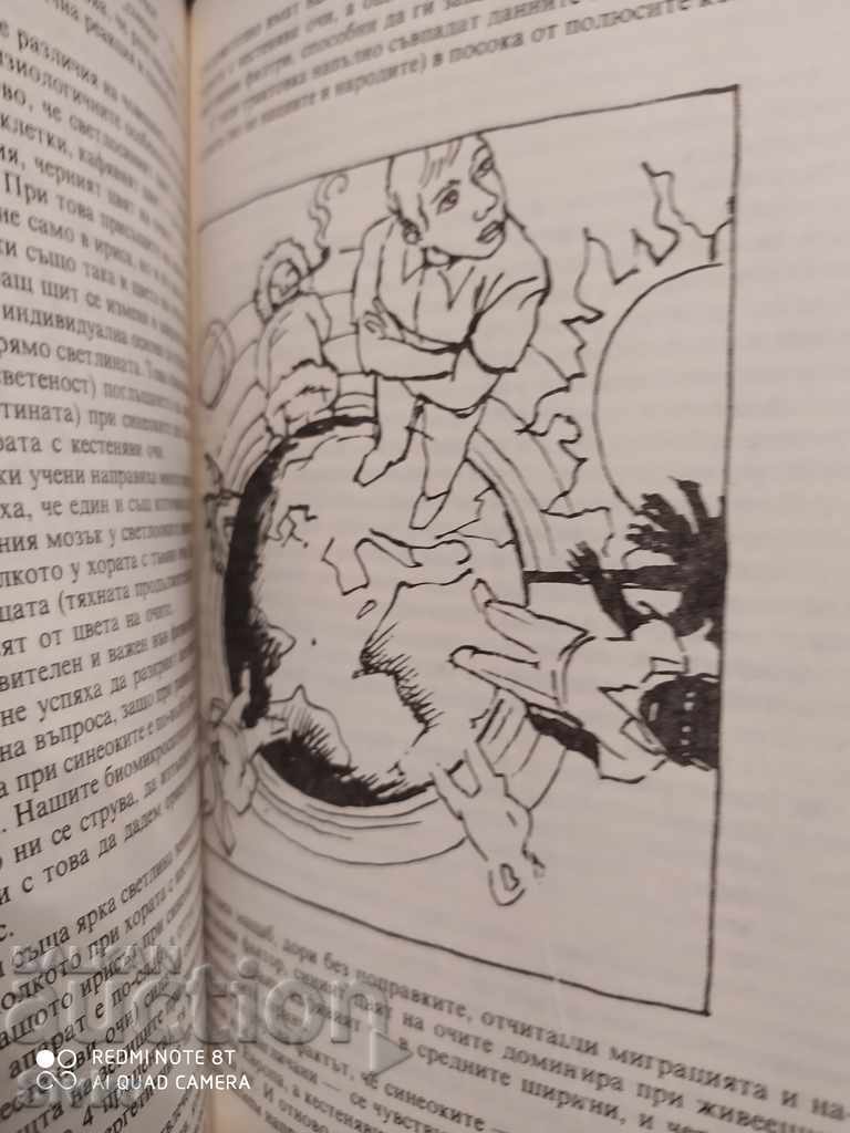 Licitație Localizatoare de sănătate, Velhover, Nikiforov, Radish prima ediție