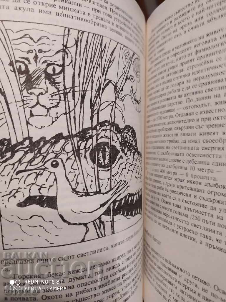 Localizatoare de sănătate, Velhover, Nikiforov, Radish prima ediție - 5