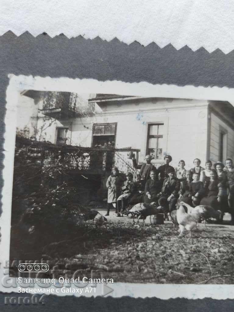 Auction PEOPLE - ROOSTERS - TOAST Auction PEOPLE - ROOSTERS - TOAST