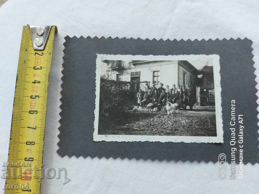 PEOPLE - ROOSTERS - TOAST - 6 PEOPLE - ROOSTERS - TOAST - 6