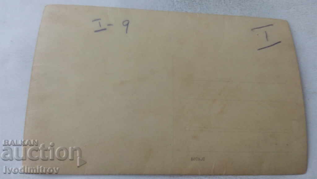 Photo Large company under the canopy with price 2.65 BGN | € 1.35