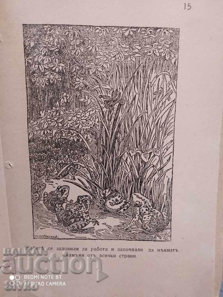 The famous dwarves selected tales before 1945 many illustrations - 5 The famous dwarves selected tales before 1945 many illustrations - 5