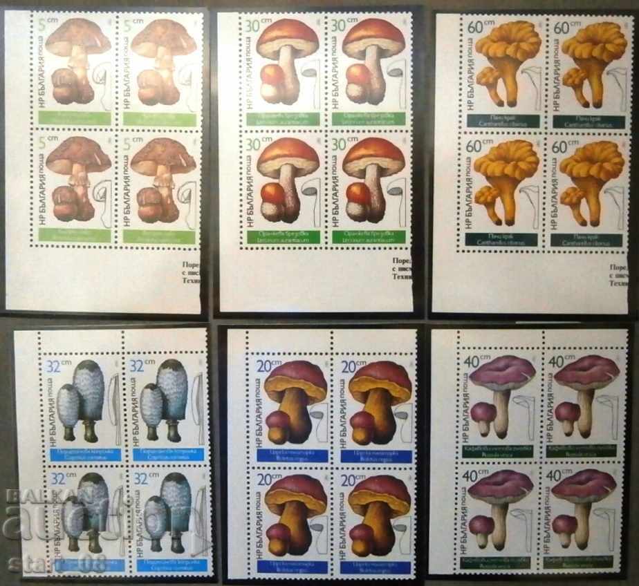 3573-3578 Edible mushrooms. - Square