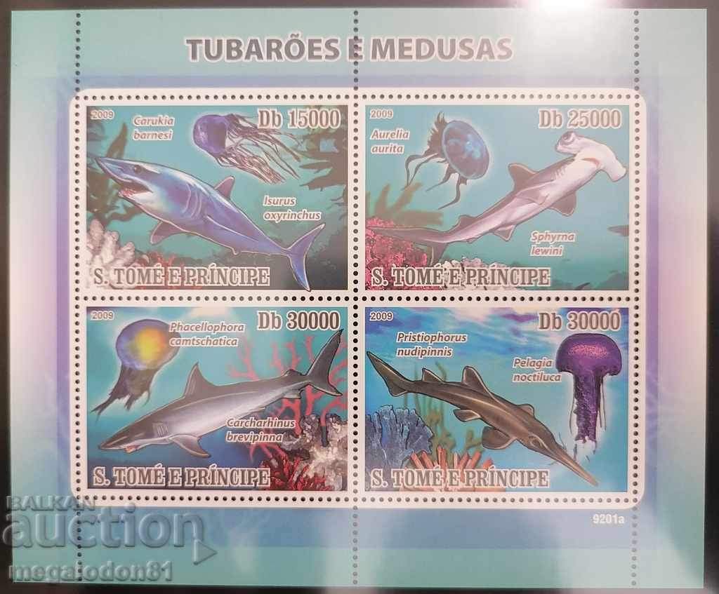 Σάο Τομέ και Πρίνσιπε - μέδουσες και καρχαρίες
