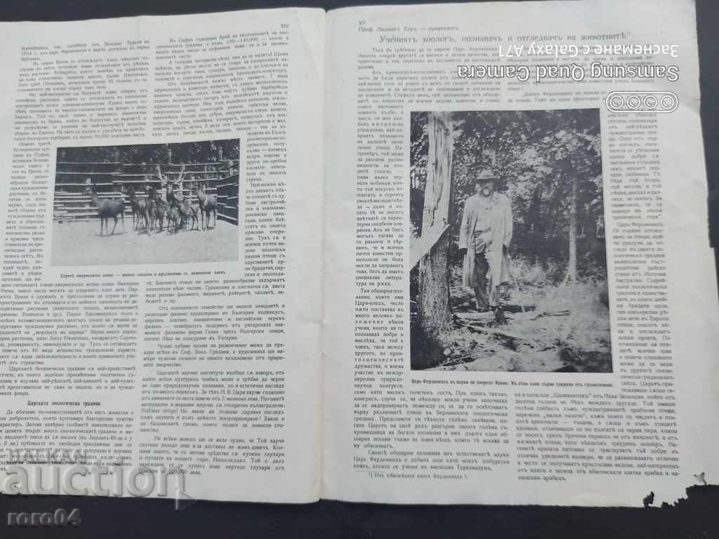 THE ROYAL NATURAL SCIENCES - 6 THE ROYAL NATURAL SCIENCES - 6
