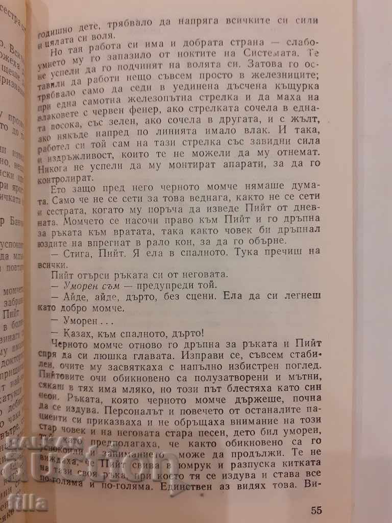 Flight over the Cuckoo's Nest - Ken Kissie - 5 Flight over the Cuckoo's Nest - Ken Kissie - 5
