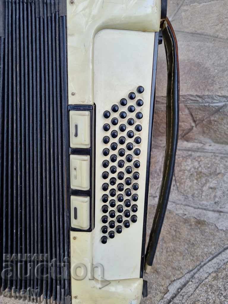 Acordeon - 5 Acordeon - 5