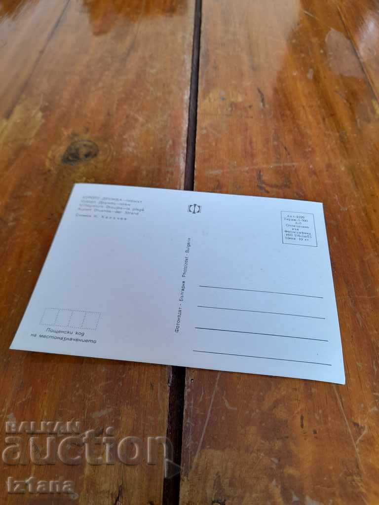 Old postcard Kurort Druzhba beach with price 4.00 BGN | € 2.05 Old postcard Kurort Druzhba beach with price 4.00 BGN | € 2.05