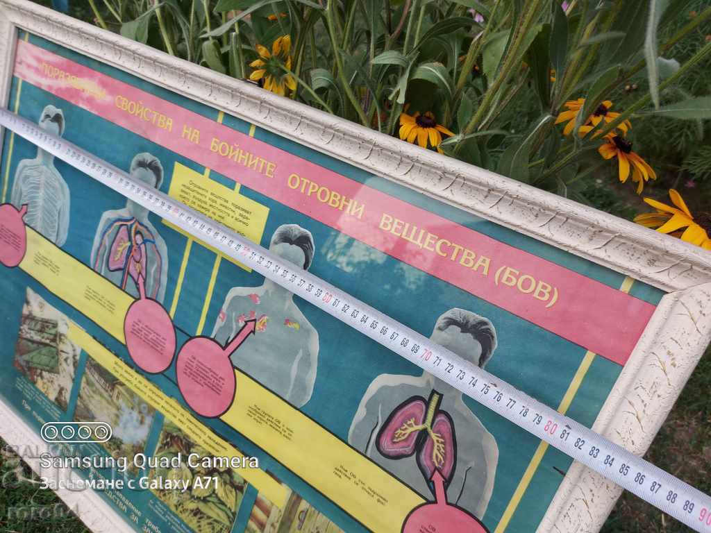 BOARD - ARMY with price 57.00 BGN | € 29.14 BOARD - ARMY with price 57.00 BGN | € 29.14