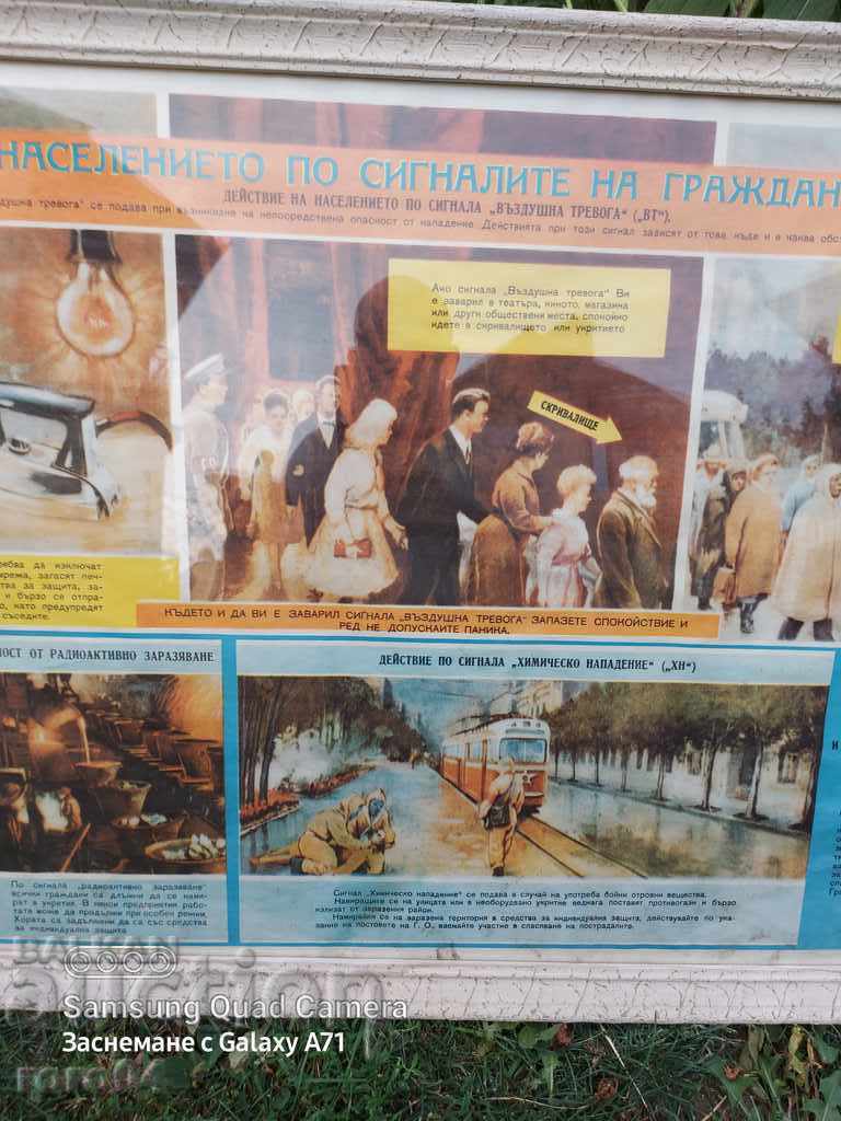 Livrarea CONSILIU - ARMATA