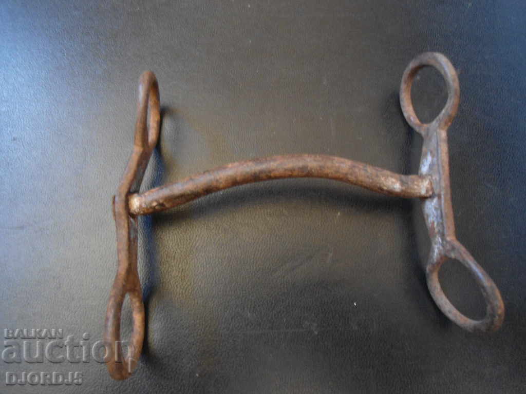 Old forged bridle