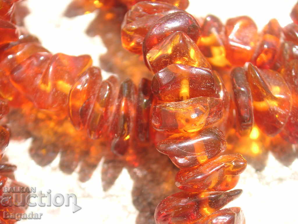Auction Amber Auction Amber