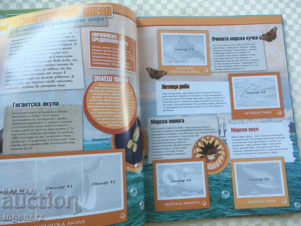 Auction OCEAN ADVENTURE ALBUM STICKER BOOK Auction OCEAN ADVENTURE ALBUM STICKER BOOK