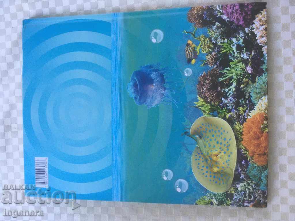 Delivery of OCEAN ADVENTURE ALBUM STICKER BOOK Delivery of OCEAN ADVENTURE ALBUM STICKER BOOK