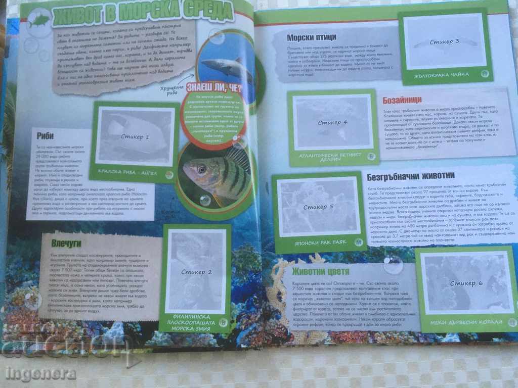 OCEAN ADVENTURE ALBUM STICKER BOOK - 5 OCEAN ADVENTURE ALBUM STICKER BOOK - 5