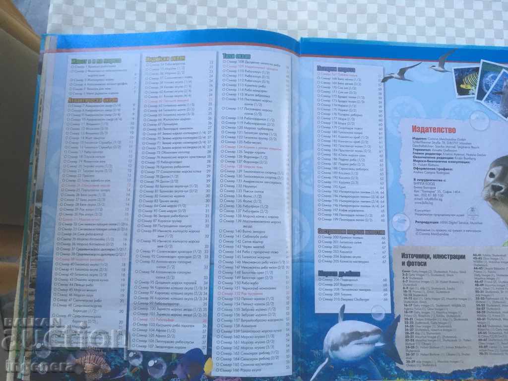 OCEAN ADVENTURE ALBUM STICKER BOOK - 7 OCEAN ADVENTURE ALBUM STICKER BOOK - 7