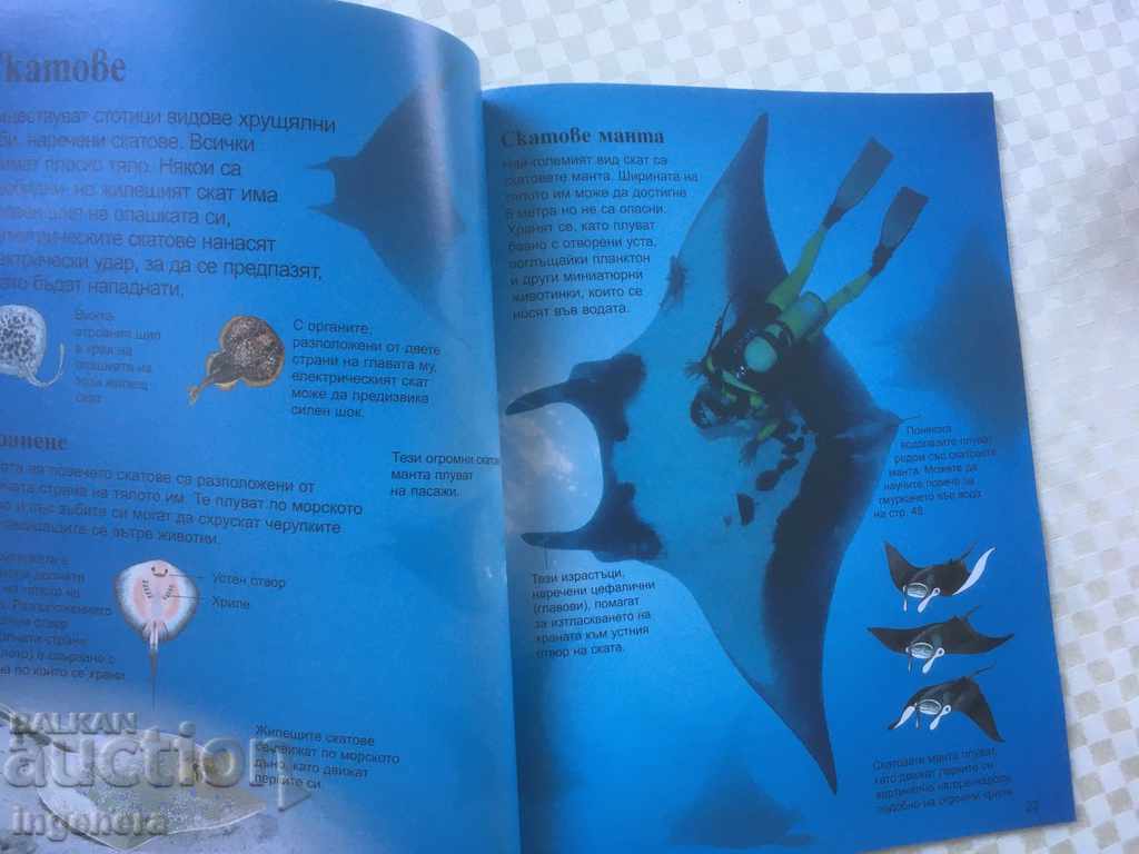 Auction BOOK-CHILDREN'S ENCYCLOPEDIA OCEANS Auction BOOK-CHILDREN'S ENCYCLOPEDIA OCEANS