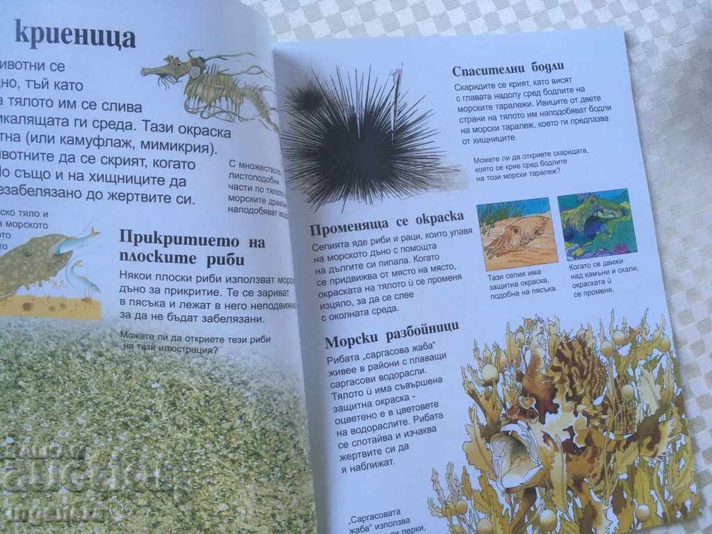 Delivery of BOOK-CHILDREN'S ENCYCLOPEDIA OCEANS Delivery of BOOK-CHILDREN'S ENCYCLOPEDIA OCEANS