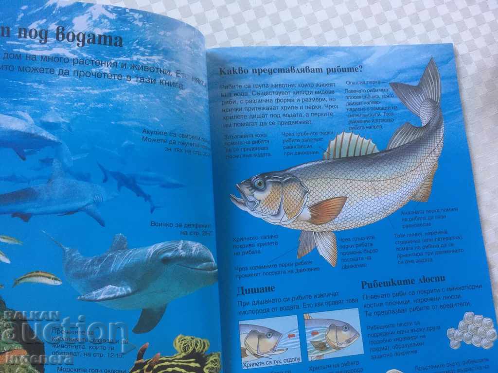 BOOK-CHILDREN'S ENCYCLOPEDIA OCEANS - 5 BOOK-CHILDREN'S ENCYCLOPEDIA OCEANS - 5
