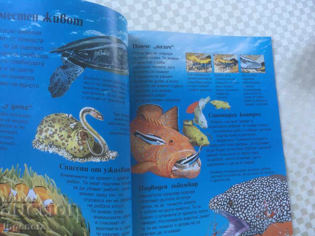 BOOK-CHILDREN'S ENCYCLOPEDIA OCEANS - 6 BOOK-CHILDREN'S ENCYCLOPEDIA OCEANS - 6