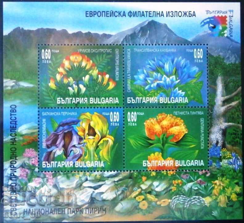4410 Parcul Național Pirin