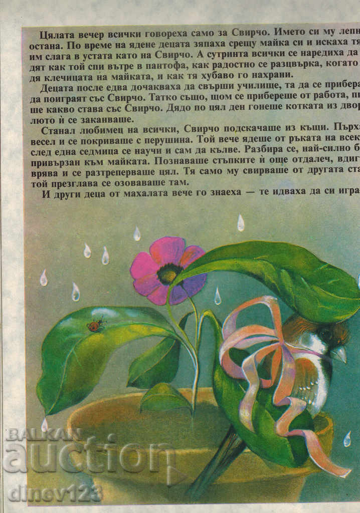 Auction  SVIRCHO - DONCHO TSONCHEV