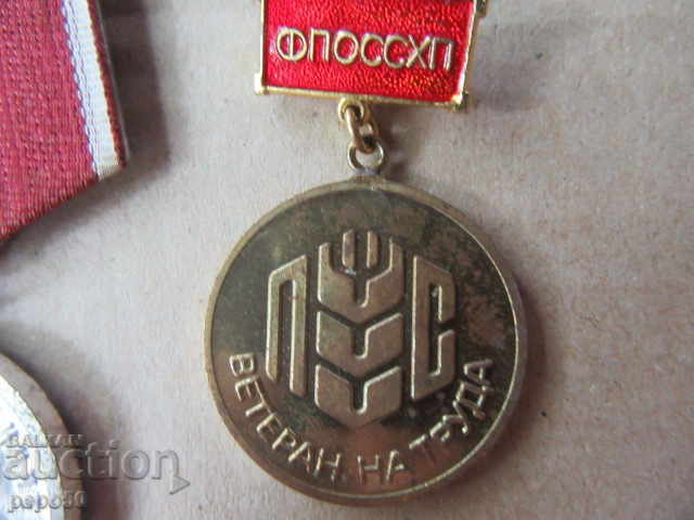 Delivery of 3 LABOR DIFFERENCES FROM THE TIME OF SOCA