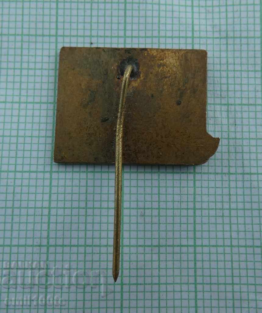 Delivery of Badge - ship Leo Tolstoy ship of the USSR Delivery of Badge - ship Leo Tolstoy ship of the USSR