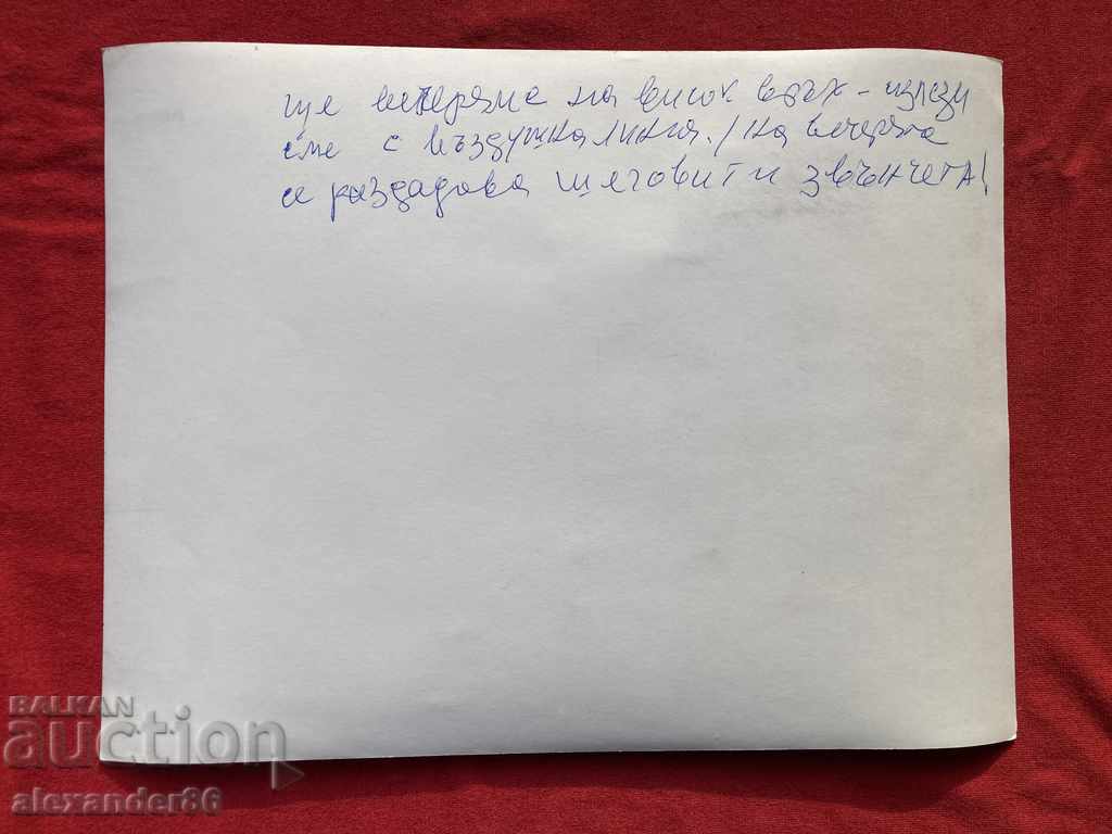 Josip Broz Tito and his wife Jovanka Broz - 6 Josip Broz Tito and his wife Jovanka Broz - 6