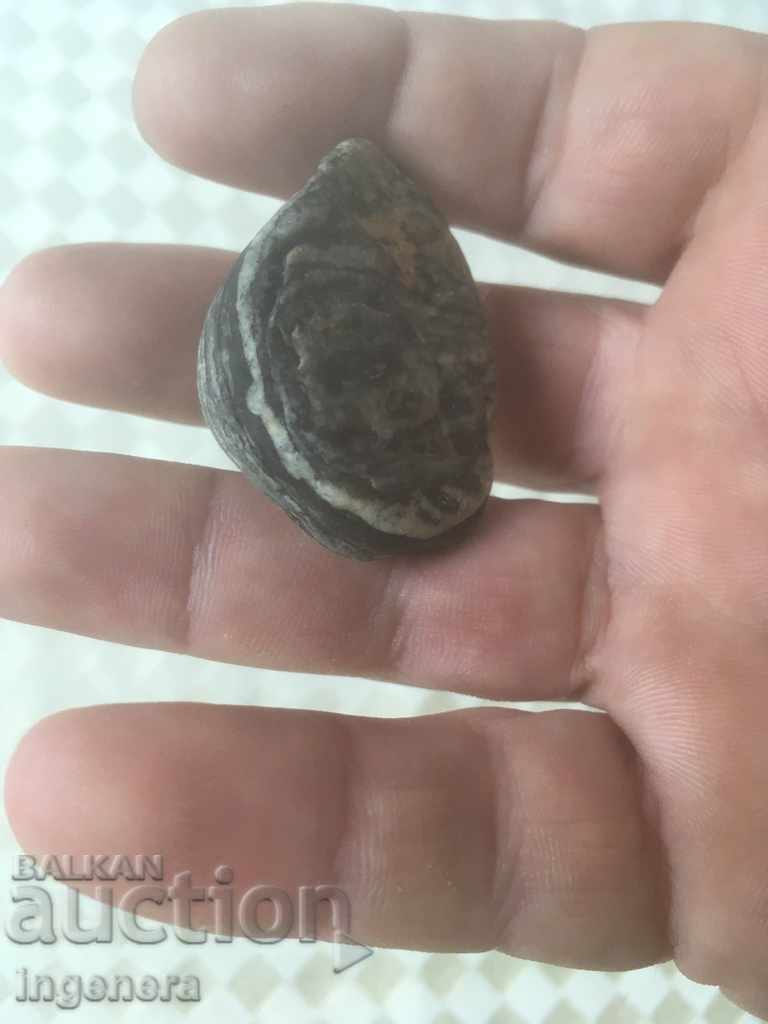 STONE MINERAL UNIQUE AND UNIQUE - 5 STONE MINERAL UNIQUE AND UNIQUE - 5