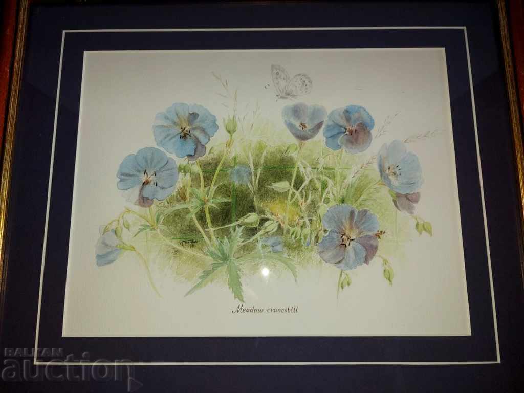 OLD PAINTING WATERCOLOR FRAME with price 25.00 BGN | € 12.78 OLD PAINTING WATERCOLOR FRAME with price 25.00 BGN | € 12.78