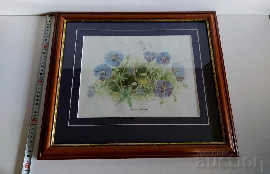 OLD PAINTING WATERCOLOR FRAME - 5 OLD PAINTING WATERCOLOR FRAME - 5
