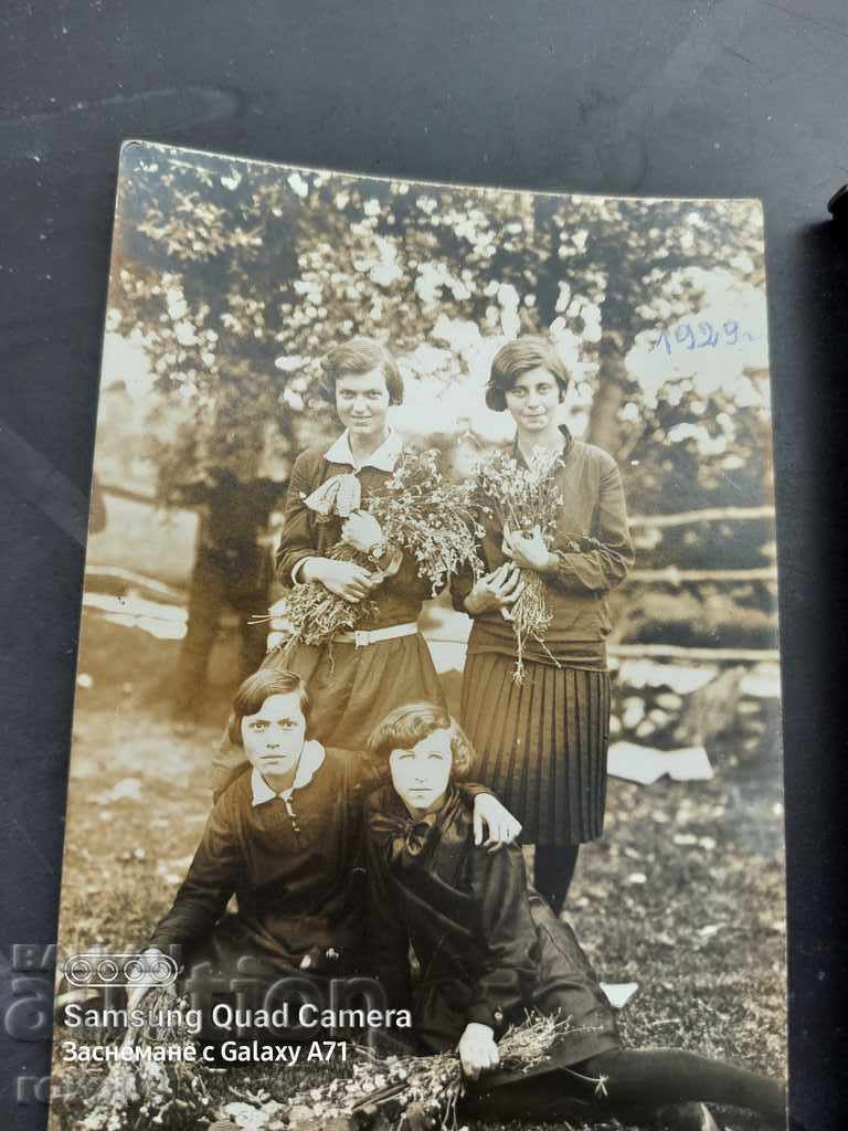 Auction SAMOKOV - 1929 Auction SAMOKOV - 1929