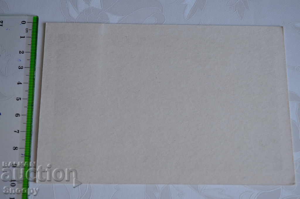 Auction Postcard: Jagodina Cave Auction Postcard: Jagodina Cave