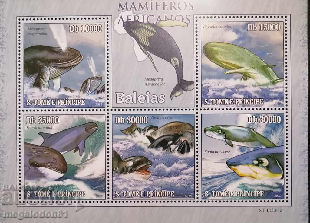 Σάο Τομέ και Πρίνσιπε - Αφρικανικά θηλαστικά, φάλαινες με τιμή 4.00 BGN | € 2.05 Σάο Τομέ και Πρίνσιπε - Αφρικανικά θηλαστικά, φάλαινες με τιμή 4.00 BGN | € 2.05