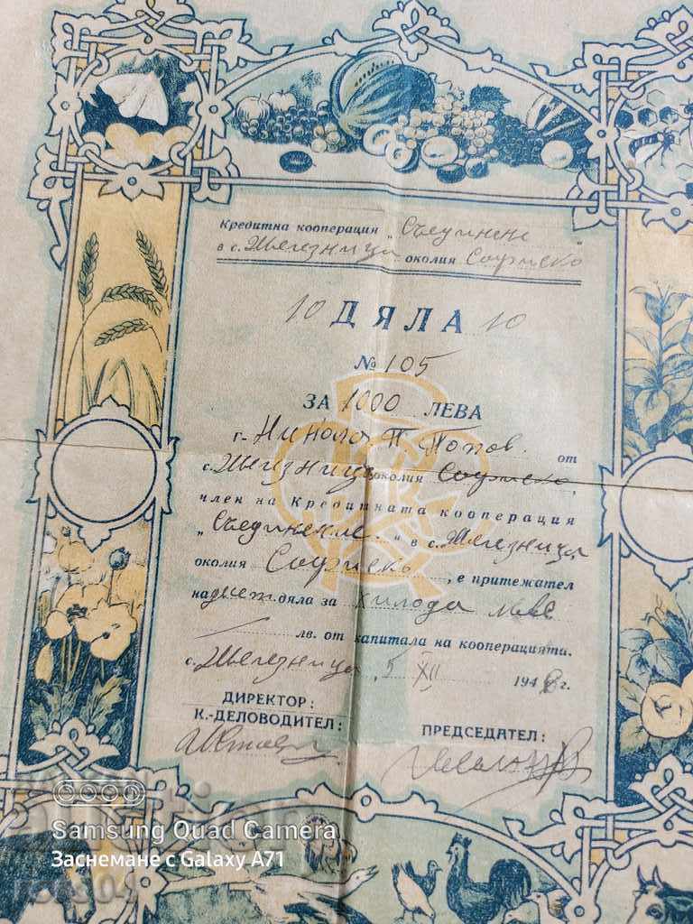 SHARE FOR 1000 BGN - 5 SHARE FOR 1000 BGN - 5