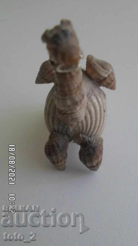 Δημοπρασία ΣΟΥΒΕΝΙΡ ΦΥΣΙΚΩΝ ΥΛΙΚΩΝ - ΚΑΜΗΛΑ Δημοπρασία ΣΟΥΒΕΝΙΡ ΦΥΣΙΚΩΝ ΥΛΙΚΩΝ - ΚΑΜΗΛΑ