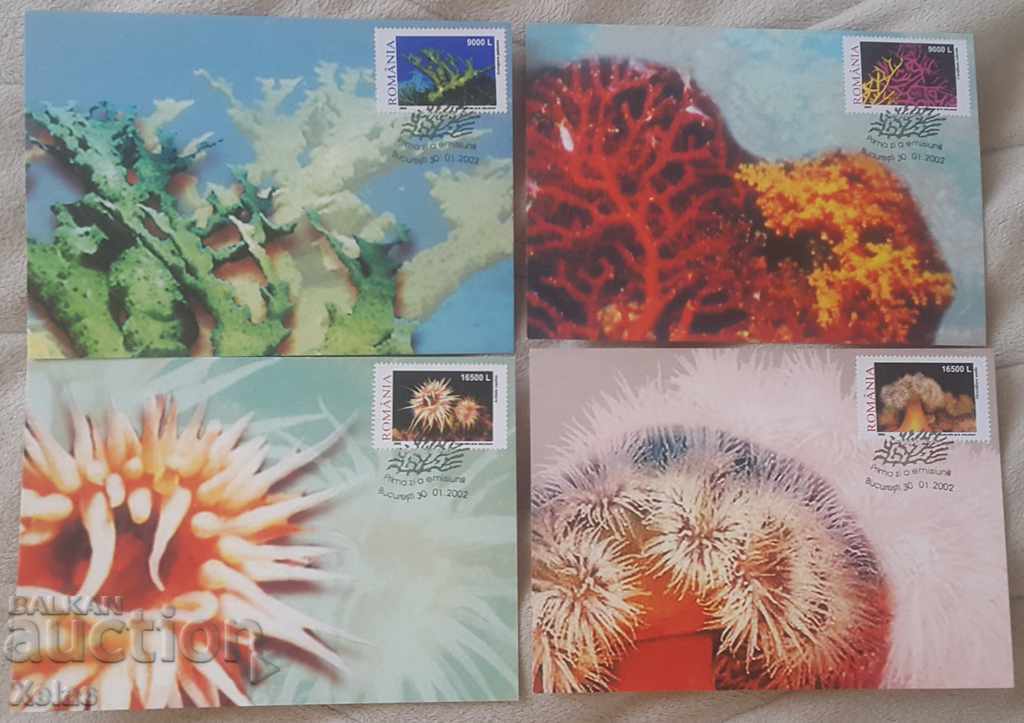 Card Maximum Romania 4pcs. corals