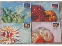 Card Maximum Romania 4pcs. corals
