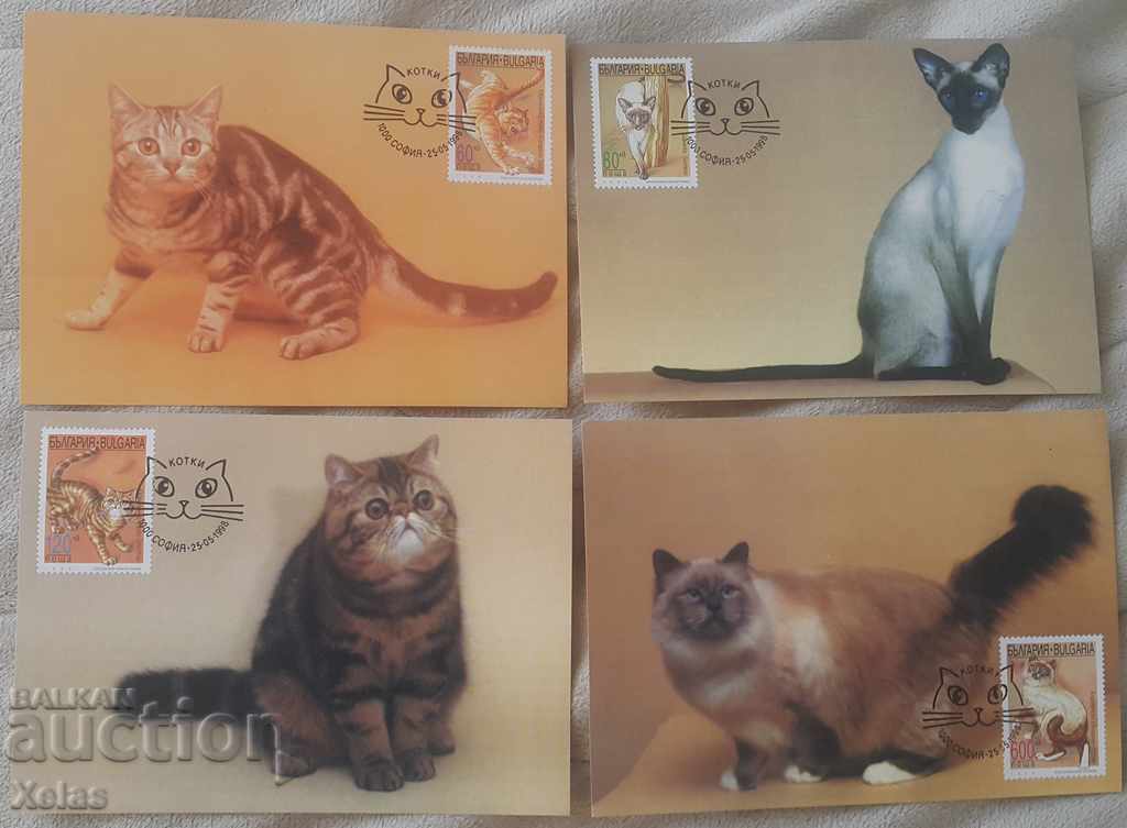 Card Maximum Bulgaria 4 pcs. cats