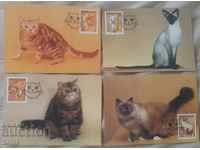 Κάρτα Μέγιστη Βουλγαρία 4 τεμ. γάτες