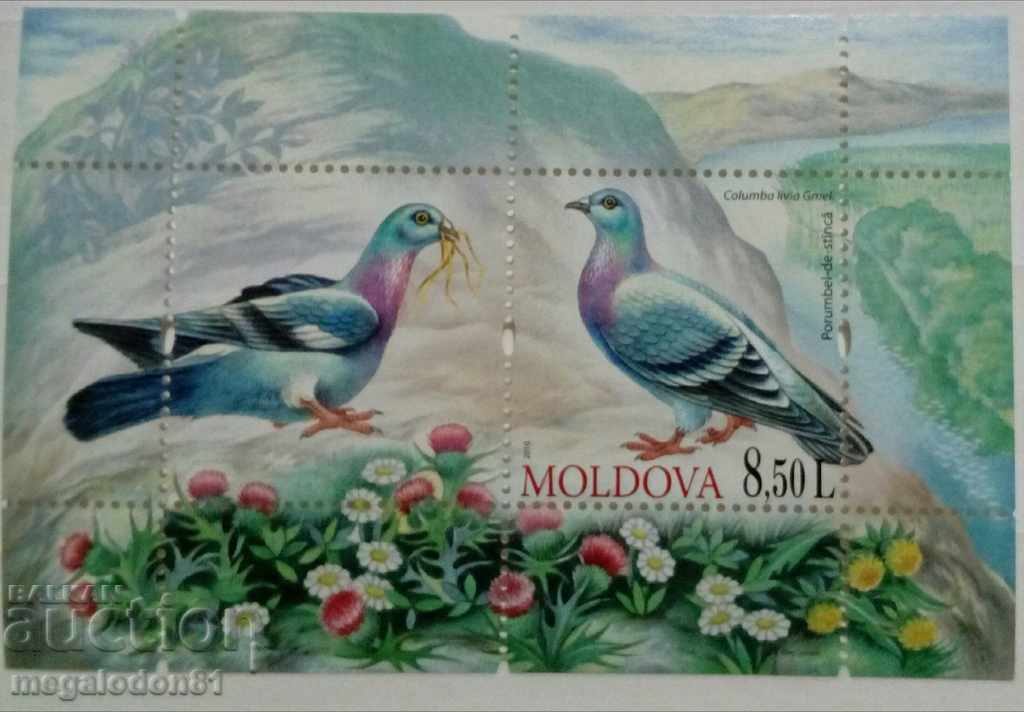 Moldova - păsări