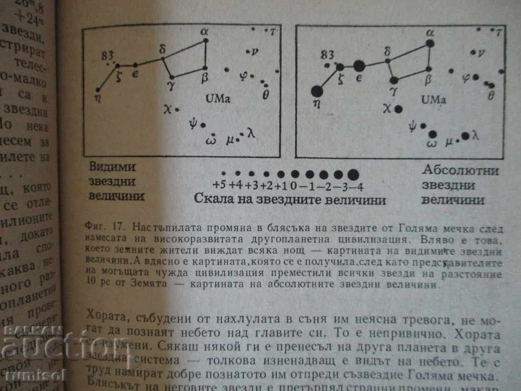 Auction The stars reveal new secrets Auction The stars reveal new secrets