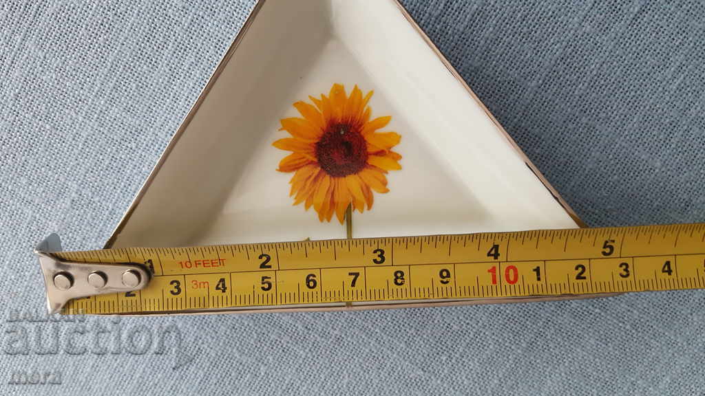 Porcelain plates-Limoges - 7