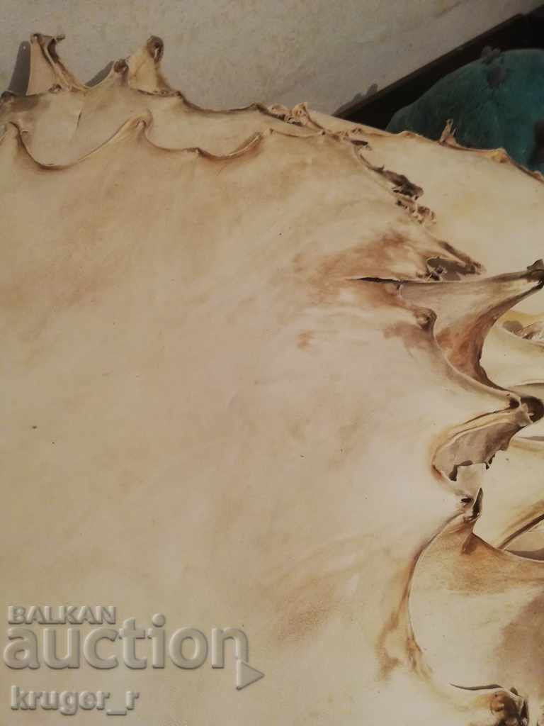 Auction Parchment Auction Parchment