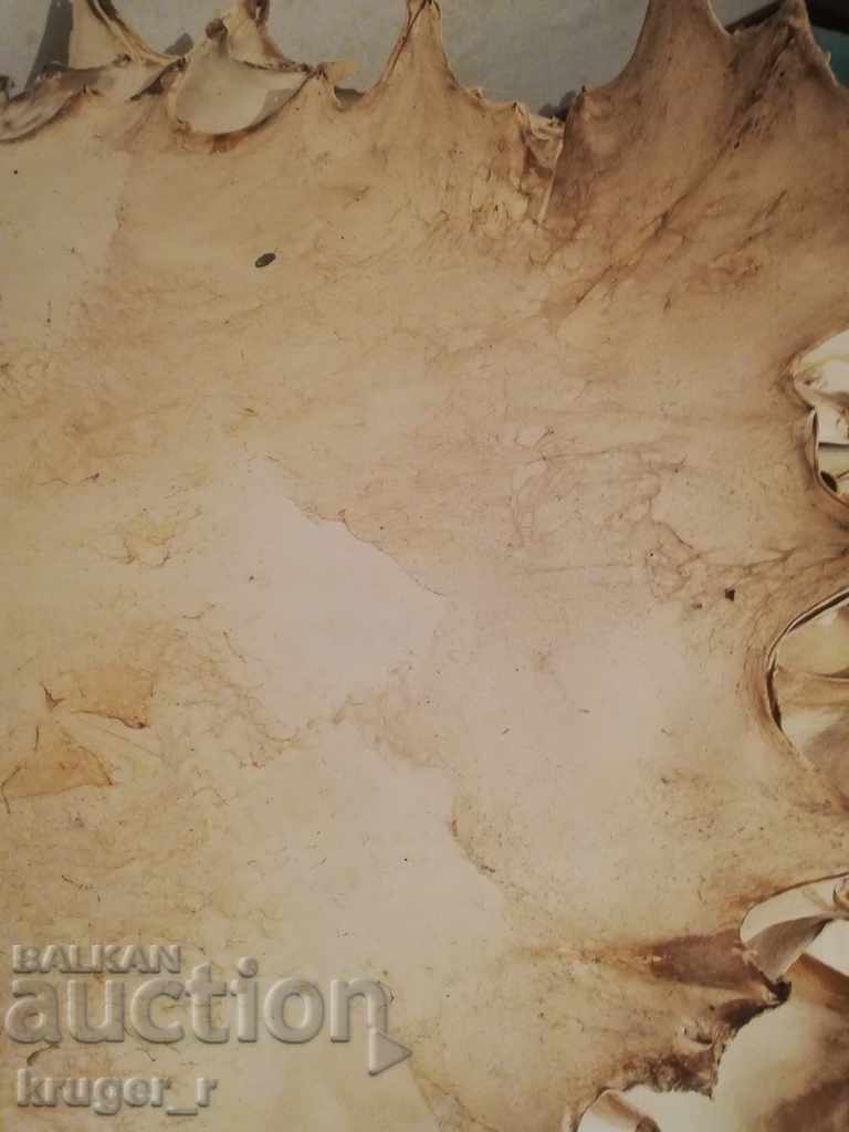 Delivery of Parchment Delivery of Parchment